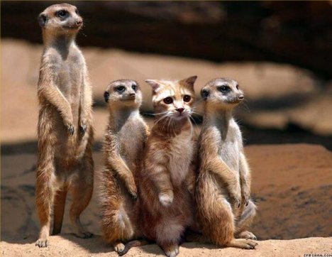 Overcoming Imposter Syndrome