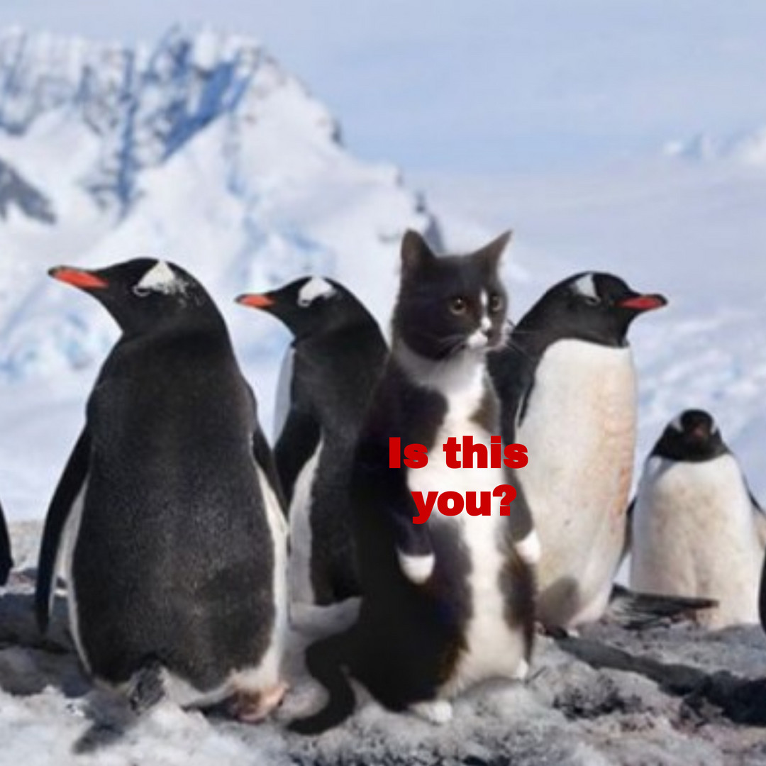 15 Ways To Overcome ‘Imposter Syndrome’              In The Workplace